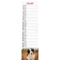 Avanti Kalendarz ścienny Avanti paskowy Psy 130mm x 460mm (5901769620384)