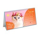 Kukartka Kalendarz biurkowy Kukartka koty