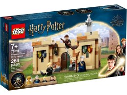 Lego Klocki konstrukcyjne Lego Harry Potter Hogwart™: Pierwsza lekcja latania (76395)