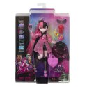 Mattel Lalka Monster High podstawowa Mattel (HPD53)