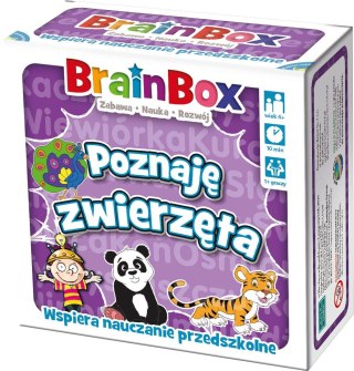 Rebel Gra edukacyjna Rebel BrainBox poznaję zwierzęta (5902650616684)