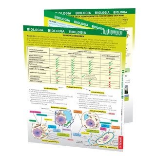 Demart Książeczka edukacyjna Demart maxi ściąga Biologia