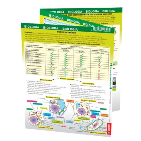 Demart Książeczka edukacyjna maxi ściąga Biologia Demart