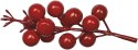 Titanum Ozdoba na piku Titanum Craft-Fun Series gałązki winobluszczu (5903714533633)
