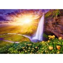 Trefl Puzzle Trefl UFT Seljalandsfoss Waterfall, Iceland 1000 el. (10756)