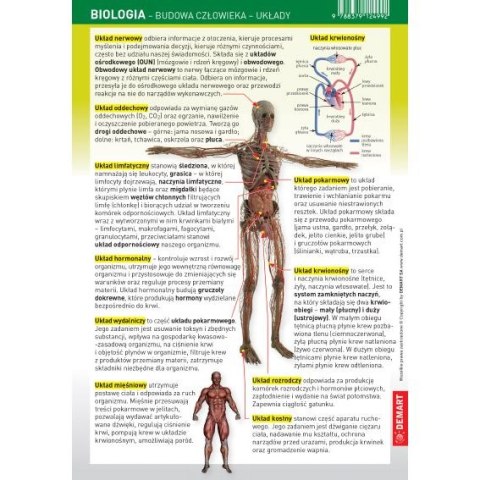 Demart Książeczka edukacyjna Ściągawka - Biologia - człowiek (układy) Demart