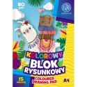 Astra Blok rysunkowy Astra ASTRAPAP A4 mix 80g 15k (106021004)
