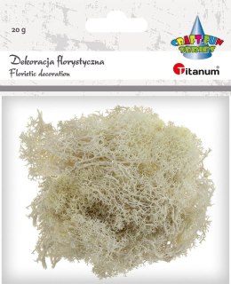 Titanum Dekoracja Craft-Fun Series dekoracja florystyczna mech chrobotek Titanum (2324045 BG)