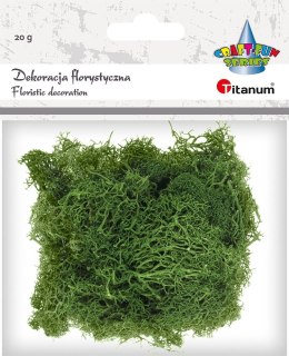 Titanum Dekoracja Craft-Fun Series dekoracja florystyczna mech chrobotek Titanum (2324045 DG)