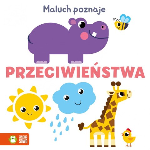 Zielona Sowa Książeczka edukacyjna Zielona Sowa Angielskie słówka Maluch poznaje.