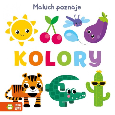 Zielona Sowa Książeczka edukacyjna Zielona Sowa Kolory Maluch poznaje.