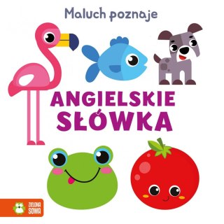 Zielona Sowa Książeczka edukacyjna Zielona Sowa Przeciwieństwa Maluch poznaje.