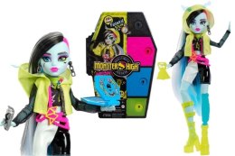 Mattel Lalka Monster High FRANKIE STEIN [mm:] 290 Mattel (HNF79)