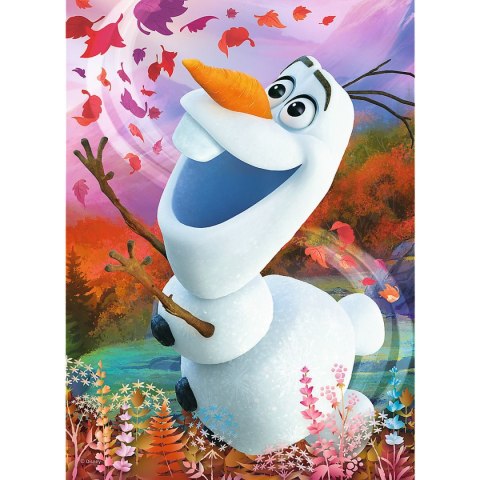 Trefl Puzzle Trefl Frozen 2 20 el. (56022)