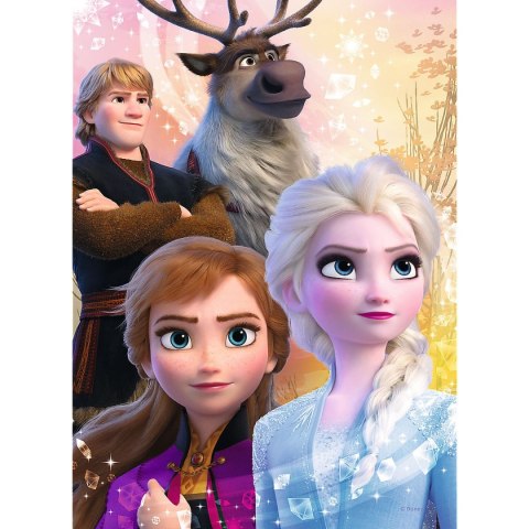 Trefl Puzzle Trefl Frozen 2 20 el. (56022)
