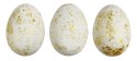Titanum Ozdoba styropianowa Titanum Craft-Fun Series Kolorowe jajka styropianowe