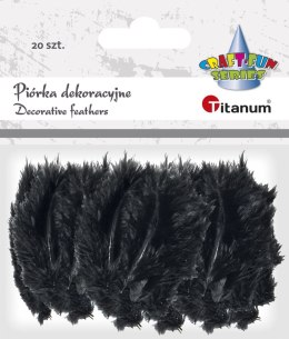 Titanum Piórka Titanum Craft-Fun Series czarne 20 szt (0050-15)