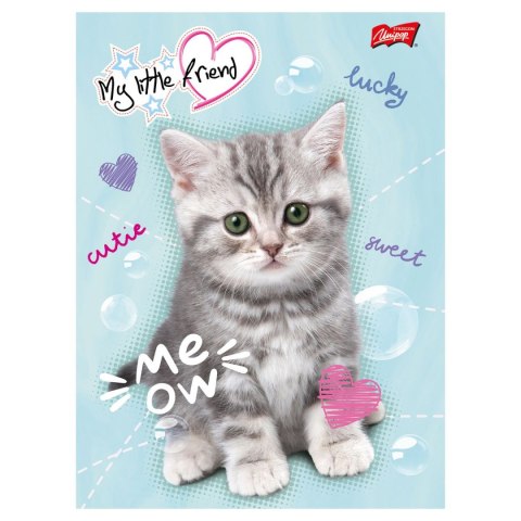 Unipap Zeszyt A5 MY LITTLE FRIEND 16k. krata Unipap