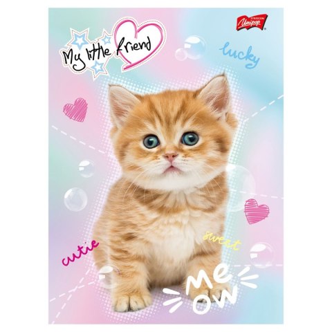 Unipap Zeszyt A5 MY LITTLE FRIEND 16k. krata Unipap