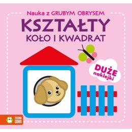 Zielona Sowa Książeczka edukacyjna Zielona Sowa Nauka z grubym obrysem. Kształty. Koło i kwadrat