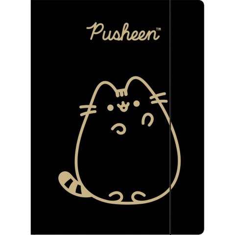 Unipap Teczka kartonowa na gumkę Pusheen gold A4 różne 300g Unipap