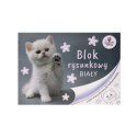 Beniamin Blok rysunkowy Beniamin The Sweet Pets (5924)