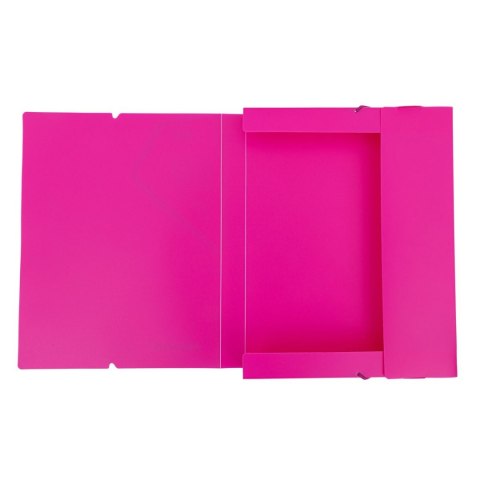Astrapap Teczka plastikowa na gumkę PP NEON LINE A4 mix Astrapap (113024006)