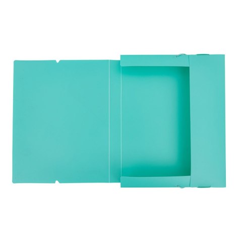 Astrapap Teczka plastikowa na gumkę PP NEON LINE A4 mix Astrapap (113024006)