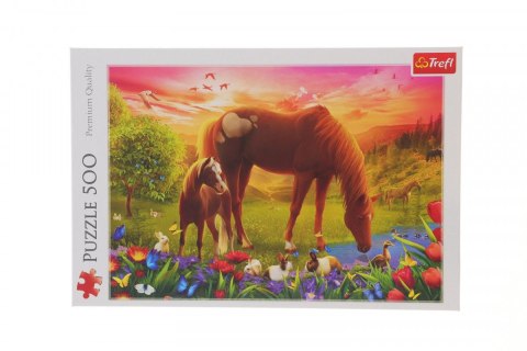 Trefl Puzzle Trefl Konie na łące 500 el. (37451)