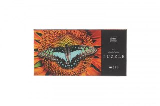 Interdruk Puzzle Interdruk COLOURFUL NATURE 2 Butterfly 5902277342003 250 el. (250 el)