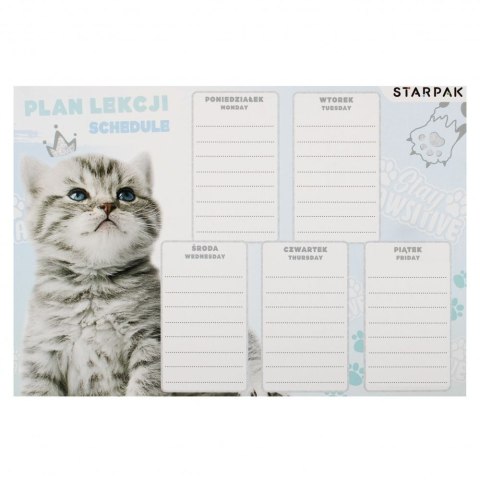 Starpak Plan lekcji Starpak Kot (536137)