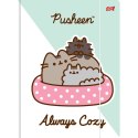 Unipap Teczka kartonowa na gumkę Pusheen A4 różne Unipap