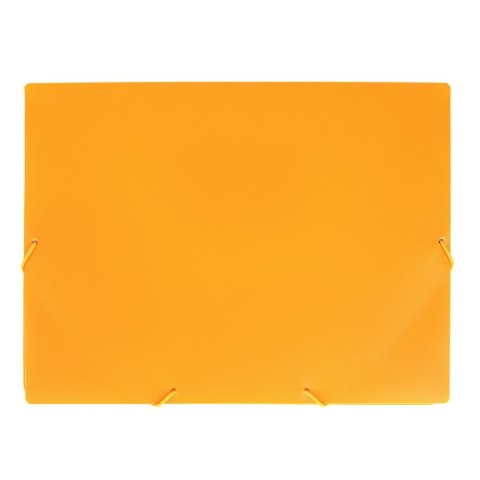Strigo Teczka plastikowa na gumkę z gumką Neon pomarańczowa A4 pomarańczowy Strigo (SF095)