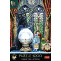 Trefl Puzzle Trefl Magic Collection Premium Plus Uczeń czarownicy 1000 el. (10898)