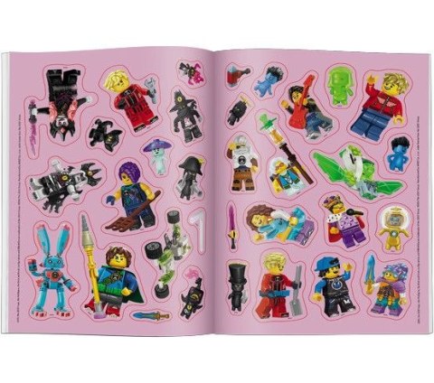 Ameet Książeczka edukacyjna Ameet (SPCS 5401)