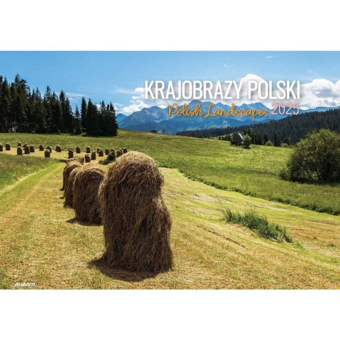 Avanti Kalendarz ścienny Avanti KRAJOBRAZY POLSKI wieloplanszowy 285mm x 410mm (KA-7)