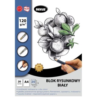 Rexus Blok rysunkowy Rexus biały premium A4 biały 20k (5154)