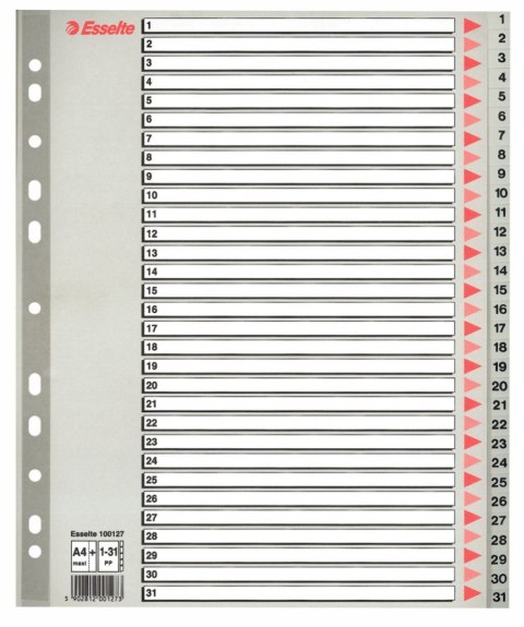 Esselte Przekładka numeryczna Esselte A4 szara 31k 1-31 (100127)