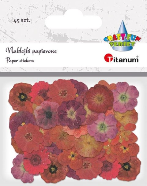 Titanum Naklejka (nalepka) Titanum Craft-Fun Series Naklejki papierowe (24XQ0501-13)