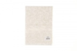 Torba prezentowa torebka BN folia [mm:] 170x250 (S4)