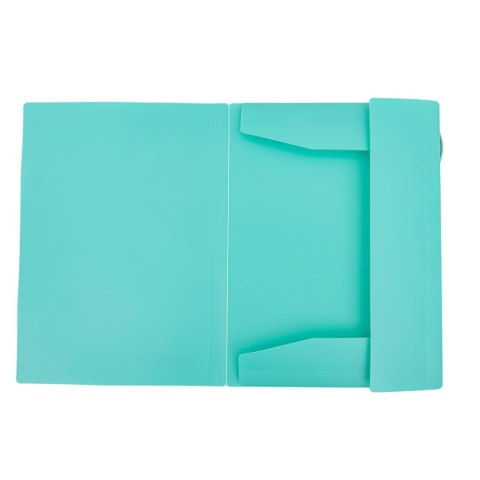 Astrapap Teczka plastikowa na gumkę PP PASTEL LINE A4 mix Astrapap (113024003)