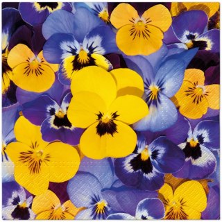 Paw Serwetki Paw TaT Looking Pansies mix bibuła [mm:] 330x330 (TL126500)