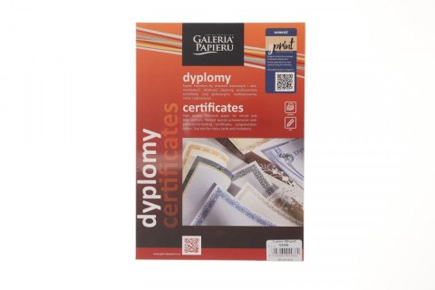Galeria Papieru Dyplom vera A4 190g Galeria Papieru (211119)
