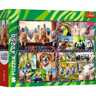 Trefl Puzzle Trefl zwierzaki 4x250 el. (13313)