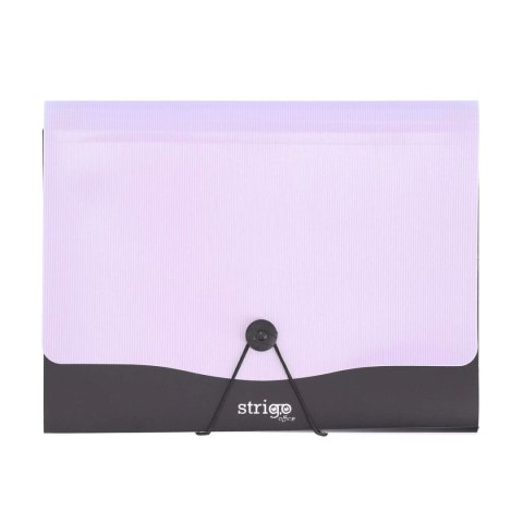 Strigo Teczka z przegródkami Strigo A4 kolor: fioletowy 13 przegródek (SF0060) Strigo Teczka z przegródkami Strigo A4 kolor: fioletowy 13 przegródek (SF0060)