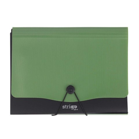 Strigo Teczka z przegródkami zielony ciemny a4/13 A4 kolor: miętowy 13 przegródek Strigo (SF0053)