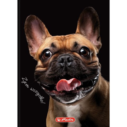 Herlitz Brulion Herlitz Crazy Animal A6 80k. 70g krata (400196850) Herlitz Brulion Herlitz Crazy Animal A6 80k. 70g krata (400196850)