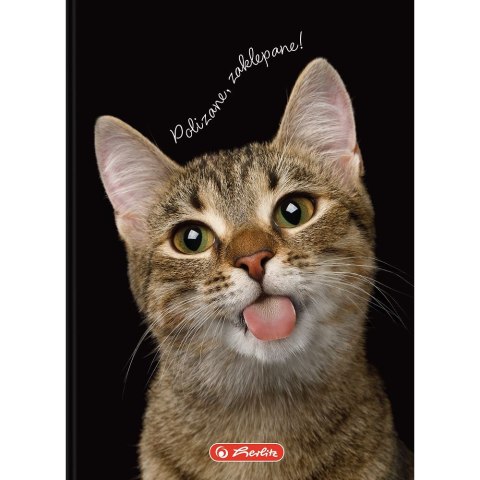Herlitz Brulion Herlitz Crazy Animal A6 80k. 70g krata (400196850) Herlitz Brulion Herlitz Crazy Animal A6 80k. 70g krata (400196850)