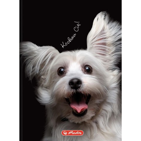Herlitz Brulion Herlitz Crazy Animal A6 80k. 70g krata (400196850) Herlitz Brulion Herlitz Crazy Animal A6 80k. 70g krata (400196850)
