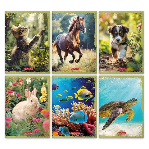 Herlitz Zeszyt Herlitz Animals 9501353 A5 32k. linia (400197990) Herlitz Zeszyt Herlitz Animals 9501353 A5 32k. linia (400197990)